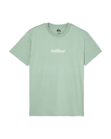 The Quiksilver Mens Fineline T-Shirt in Iceberg Green