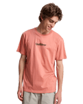 The Quiksilver Mens Fineline T-Shirt in Desert Sand