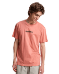 The Quiksilver Mens Fineline T-Shirt in Desert Sand