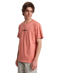 The Quiksilver Mens Fineline T-Shirt in Desert Sand