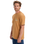The Quiksilver Mens Light Waves T-Shirt in Almond