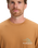 The Quiksilver Mens Light Waves T-Shirt in Almond
