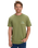 The Quiksilver Mens Light Waves T-Shirt in Loden Green