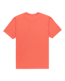 The Quiksilver Mens Anchor Lockup T-Shirt in Mustard