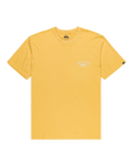 The Quiksilver Mens Anchor Lockup T-Shirt in Rattan