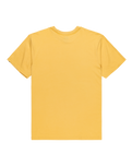 The Quiksilver Mens Anchor Lockup T-Shirt in Rattan