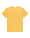 The Quiksilver Mens Anchor Lockup T-Shirt in Rattan