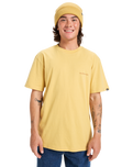 The Quiksilver Mens EV Desert Waves T-Shirt in Rattan