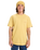 The Quiksilver Mens EV Desert Waves T-Shirt in Rattan
