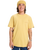 The Quiksilver Mens EV Desert Waves T-Shirt in Rattan