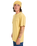The Quiksilver Mens EV Desert Waves T-Shirt in Rattan