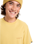 The Quiksilver Mens EV Desert Waves T-Shirt in Rattan