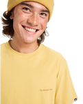 The Quiksilver Mens EV Desert Waves T-Shirt in Rattan