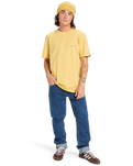 The Quiksilver Mens EV Desert Waves T-Shirt in Rattan
