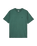 The Quiksilver Mens Salt Water T-Shirt in Forest