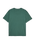 The Quiksilver Mens Salt Water T-Shirt in Forest