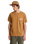 The Quiksilver Mens Bliss Point T-Shirt in Tobacco Brown