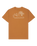 The Quiksilver Mens Bliss Point T-Shirt in Tobacco Brown