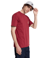 The Quiksilver Mens Bliss Point T-Shirt in Burnt Russet