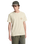 The Quiksilver Mens Bliss Point T-Shirt in Bone White