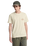 The Quiksilver Mens Bliss Point T-Shirt in Bone White