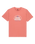 The Quiksilver Mens Fundamental Ride T-Shirt in Desert Sand