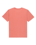 The Quiksilver Mens Fundamental Ride T-Shirt in Desert Sand