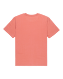 The Quiksilver Mens Fundamental Ride T-Shirt in Desert Sand