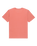 The Quiksilver Mens Fundamental Ride T-Shirt in Desert Sand