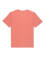 The Quiksilver Mens Fundamental Ride T-Shirt in Desert Sand