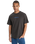 The Quiksilver Mens Fractured Wave T-Shirt in Tarmac