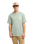 The Quiksilver Mens EVO Vibes T-Shirt in Iceberg Green