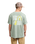 The Quiksilver Mens EVO Vibes T-Shirt in Iceberg Green