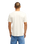 The Quiksilver Mens Vista T-Shirt in Bone White