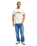 The Quiksilver Mens Vista T-Shirt in Bone White