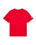 The Quiksilver Mens Echo T-Shirt in Salsa