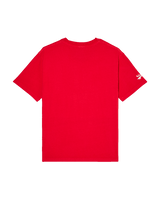 The Quiksilver Mens Echo T-Shirt in Salsa