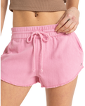 The Roxy Womens Scenic Route Shorts in Orchid Smoke