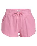 The Roxy Womens Scenic Route Shorts in Orchid Smoke