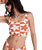 Hazy Days Crop Bikini Top in Ginger Spice Flora