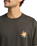 The RVCA Mens Pegasus T-Shirt in Pirate Black