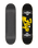 The Flip Script 31.85" Skateboard in Black