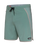 The Florence Marine X Mens Block Boardshorts in Sage