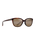 The Maui Jim Honi Polarised Sunglasses in Shiny Dark Havana & HCL Bronze
