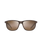 The Maui Jim Lele Kawa Polarised Sunglasses in Brown Stripe & HCL® Bronze