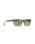 The Maui Jim Okina Polarised Sunglasses in Shiny Trans Mil Green to Yellw & Maui HT™