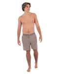 The Hurley Mens Phantom Naturals Tailgate Boardshorts in Woodside