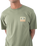 The Hurley Mens Divide T-Shirt in Malverde