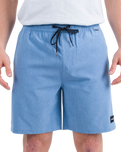 The Hurley Mens Phantom Flow Walkshorts in Aquifer