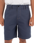 The Hurley Mens Bruno Carpenter Walkshortss in Destroyer